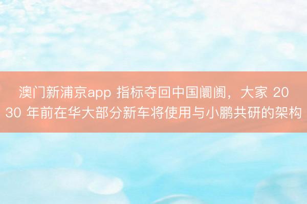澳門新浦京app 指標(biāo)奪回中國阛阓，大家 2030 年前在華大部分新車將使用與小鵬共研的架構(gòu)