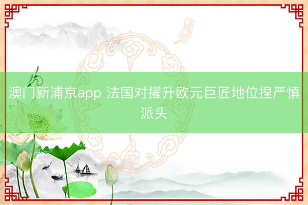 澳門(mén)新浦京app 法國(guó)對(duì)擢升歐元巨匠地位捏嚴(yán)慎派頭