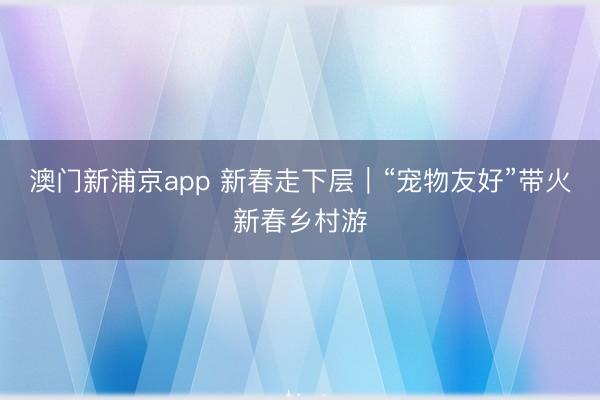 澳門(mén)新浦京app 新春走下層｜“寵物友好”帶火新春鄉(xiāng)村游