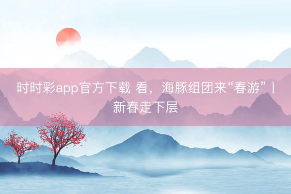 時時彩app官方下載 看，海豚組團來“春游”丨新春走下層