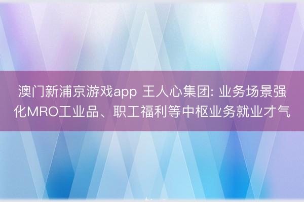 澳門新浦京游戲app 王人心集團: 業務場景強化MRO工業品、職工福利等中樞業務就業才氣
