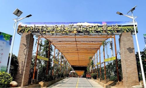 陜西發(fā)布21條秋季鄉(xiāng)村休閑旅游精品線路，邀您盡享秋日田園風(fēng)光