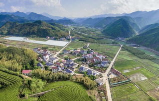 桐廬鄉(xiāng)村旅游產(chǎn)品集結(jié)號 探秘山水間的愜意好物